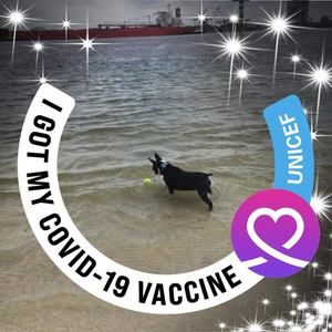 Meet your Posher, Sandy